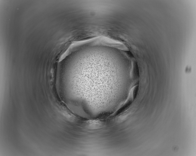 X0000090870528200708101336