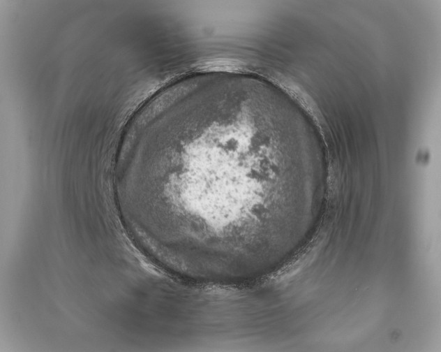 X0000090870529200708101336