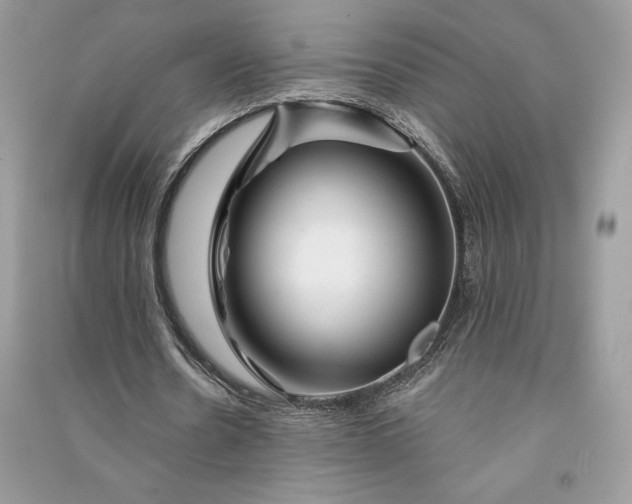 X0000090870530200708101336