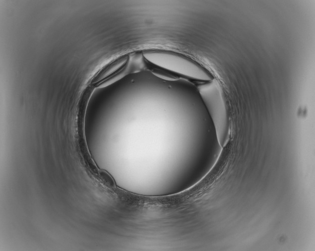 X0000090870531200708101336