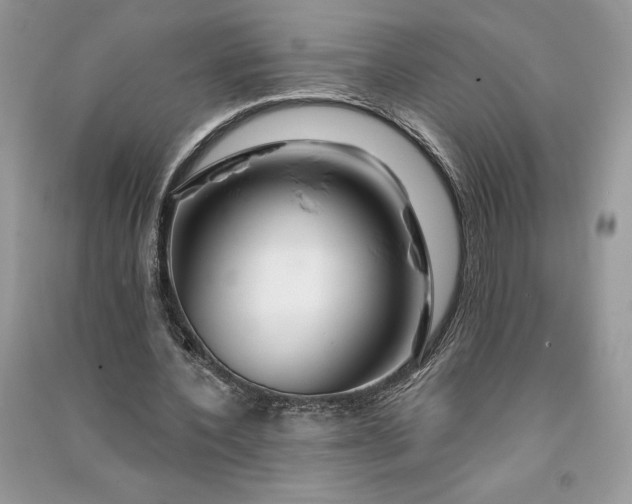 X0000090870532200708101336