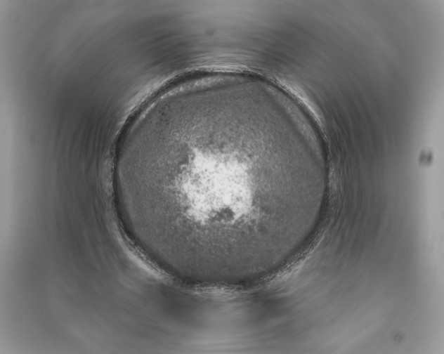 X0000090870533200708101336