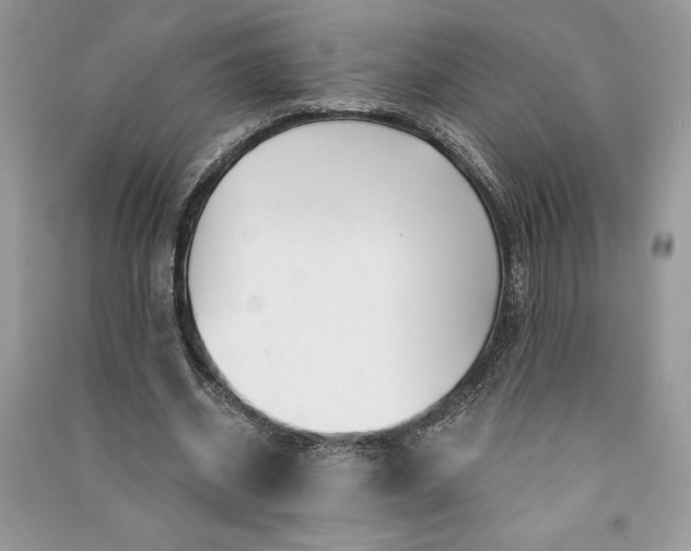 X0000090870534200708101336