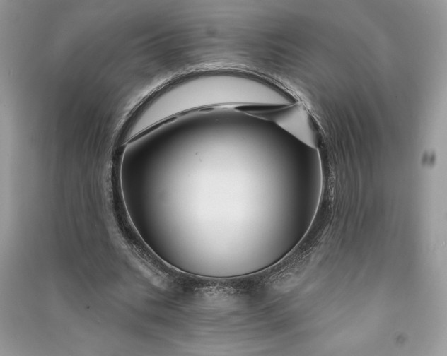 X0000090870535200708101336