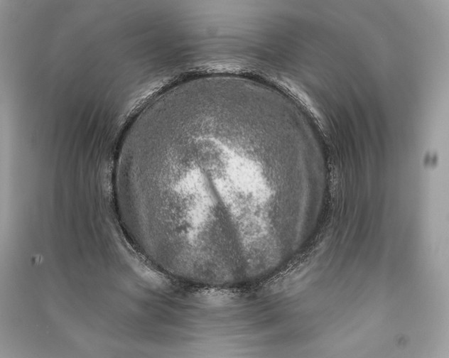 X0000090870537200708101336