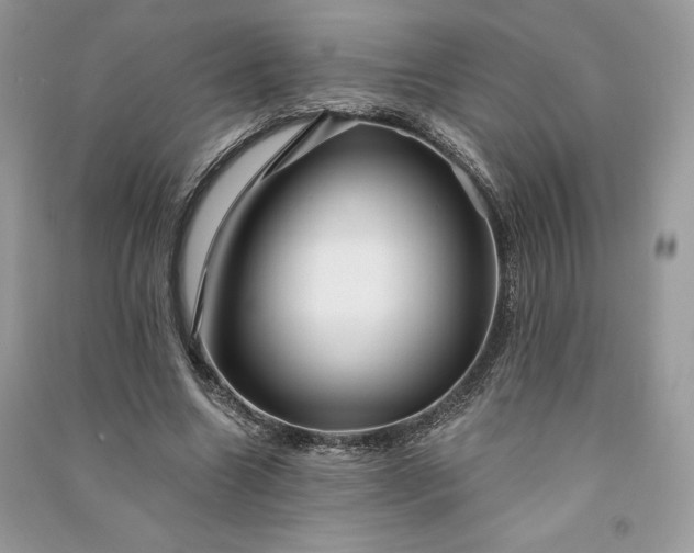 X0000090870538200708101336