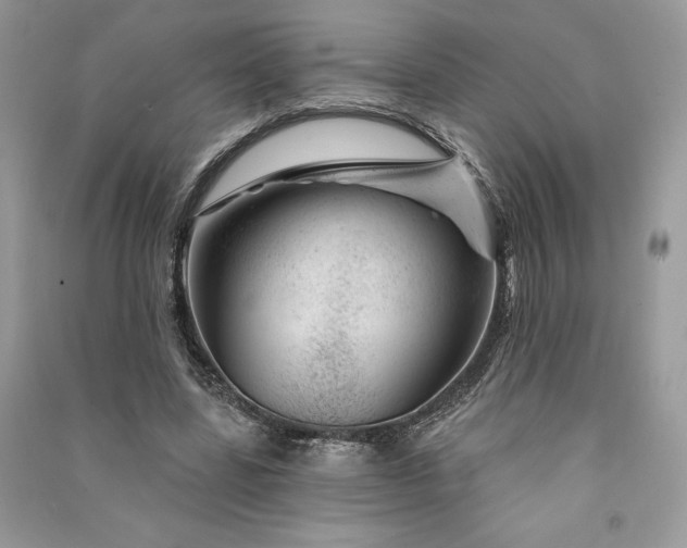 X0000090870539200708101336