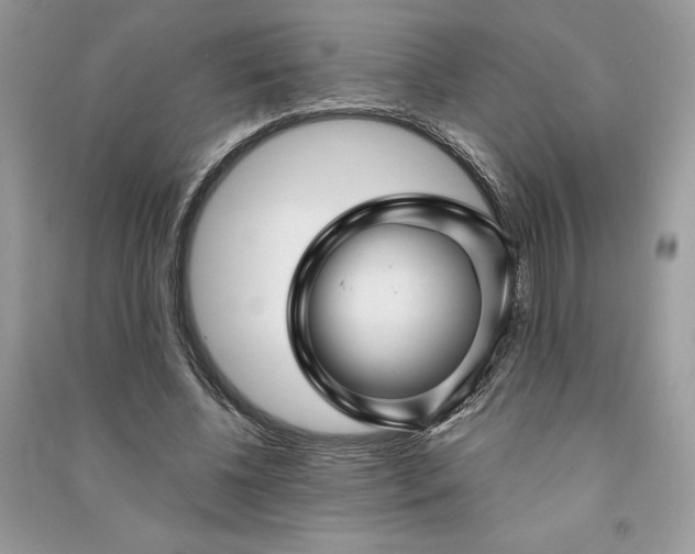 X0000090870540200708101336