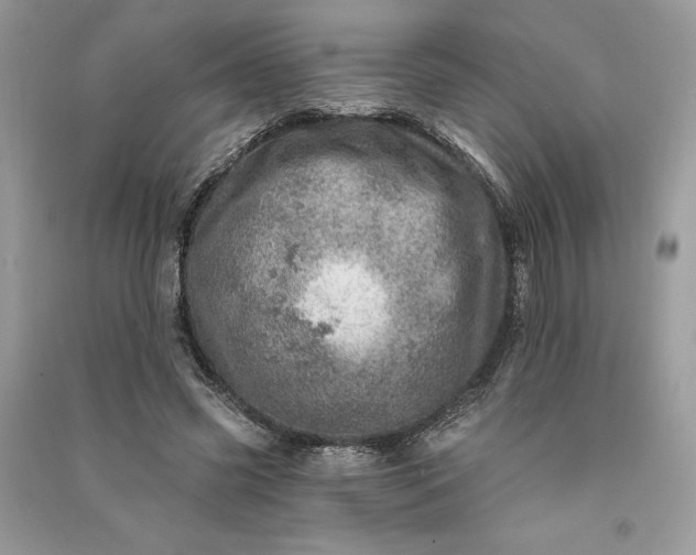 X0000090870541200708101336