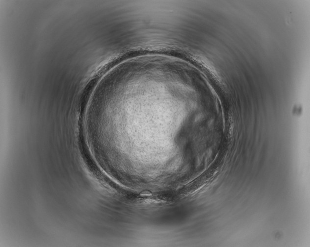 X0000090870542200708101336