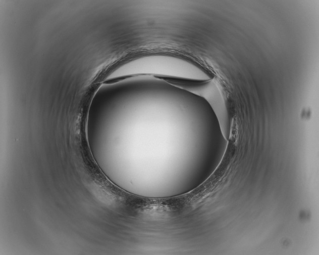 X0000090870543200708101336