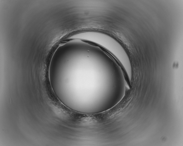 X0000090870544200708101336