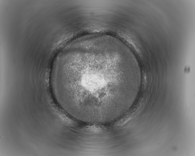 X0000090870545200708101336