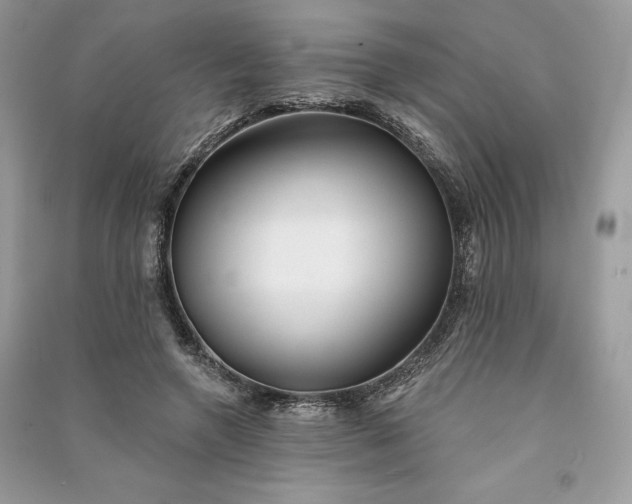 X0000090870546200708101336