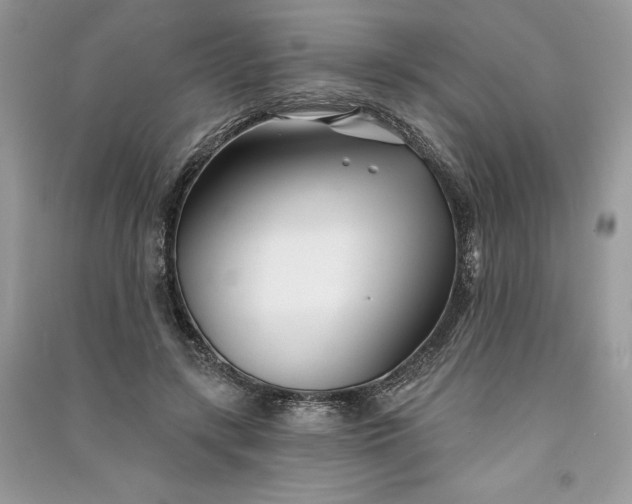 X0000090870547200708101336