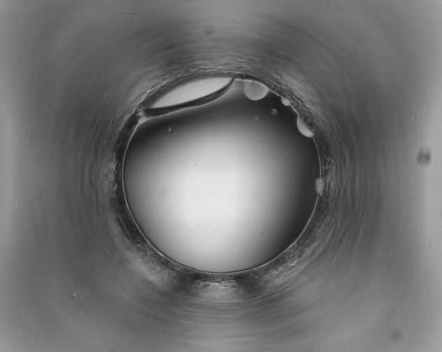 X0000090870548200708101336