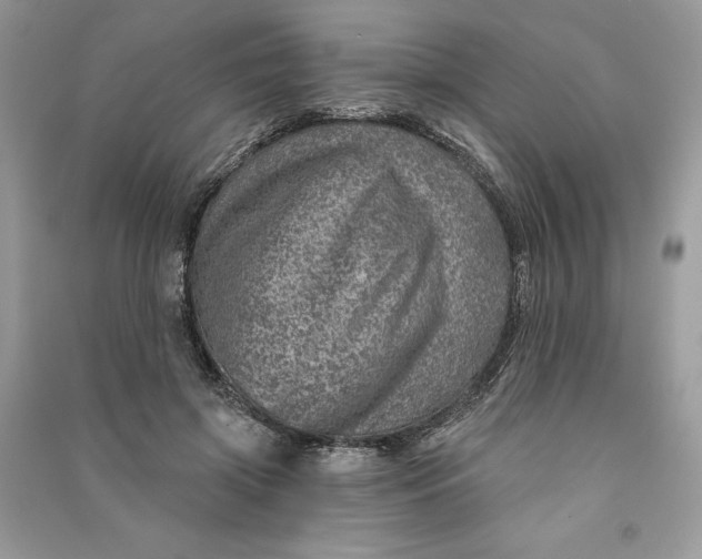 X0000090870549200708101336