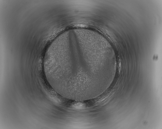 X0000090870551200708101336