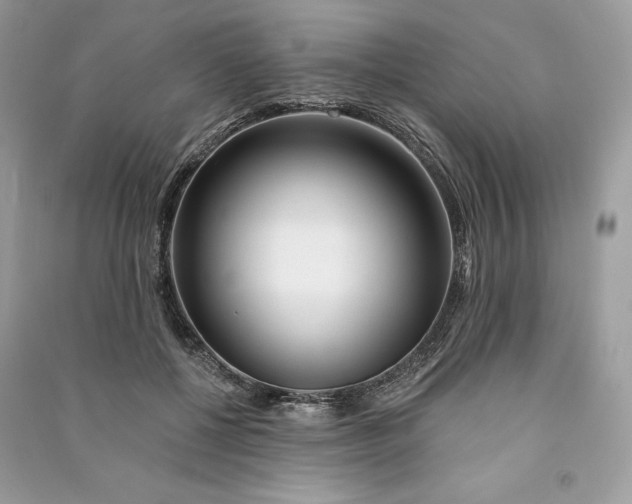 X0000090870552200708101336