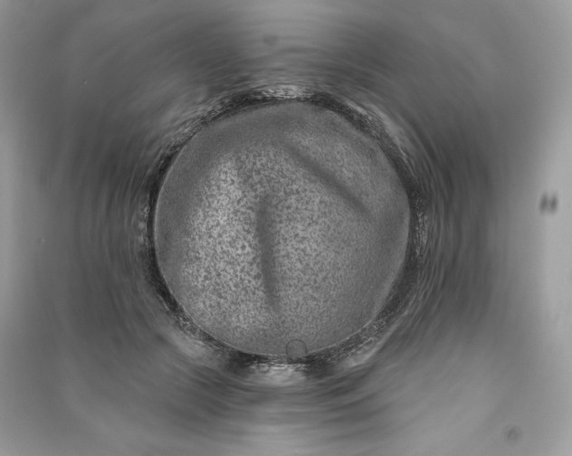 X0000090870553200708101336