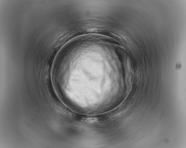 X0000090870554200708101336