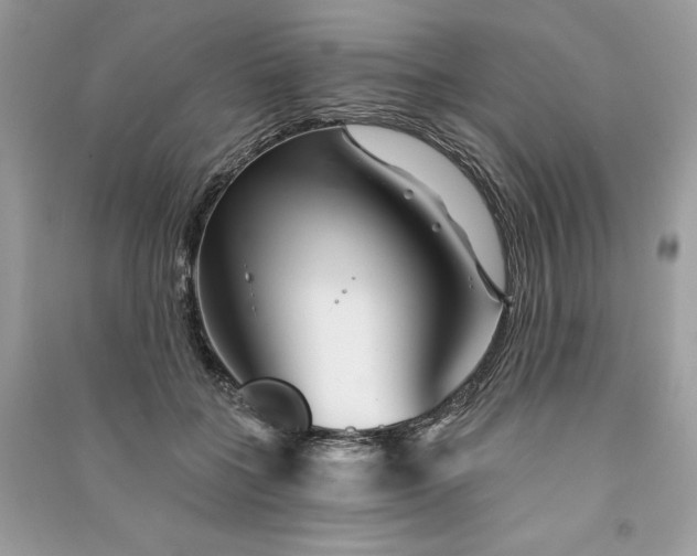 X0000090870555200708101336