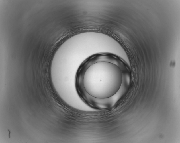 X0000090870556200708101336