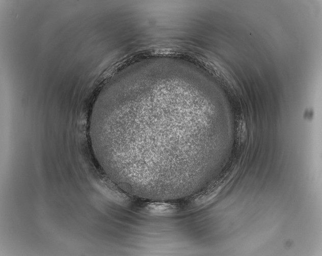 X0000090870557200708101336