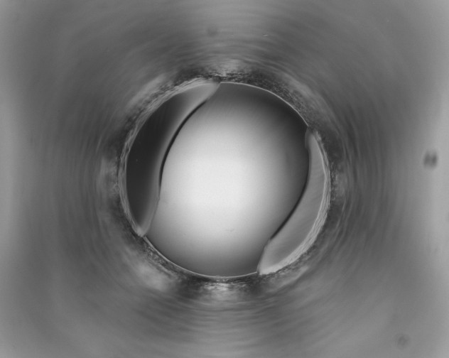 X0000090870558200708101336