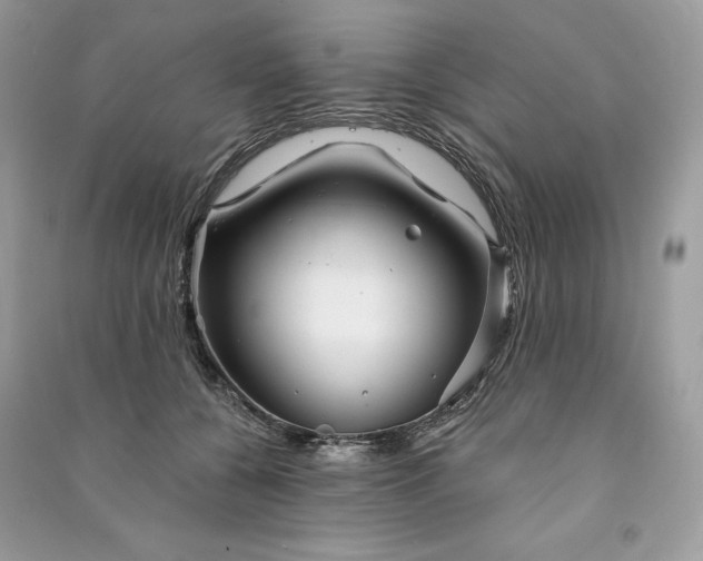 X0000090870560200708101336