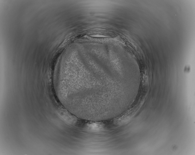 X0000090870561200708101336