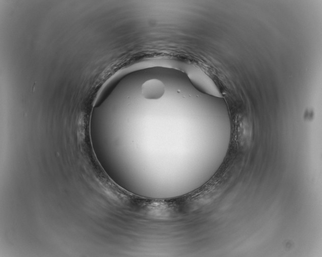 X0000090870562200708101336