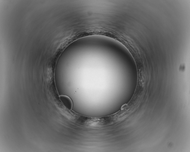 X0000090870563200708101336