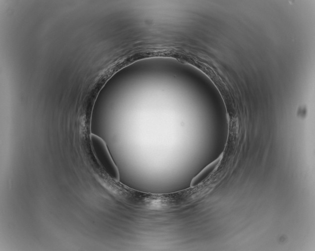 X0000090870564200708101336