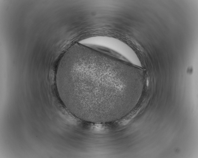 X0000090870565200708101336