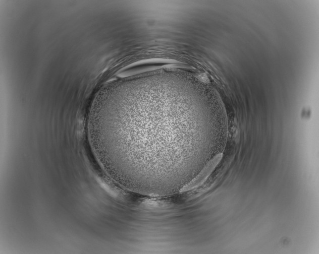 X0000090870568200708101336