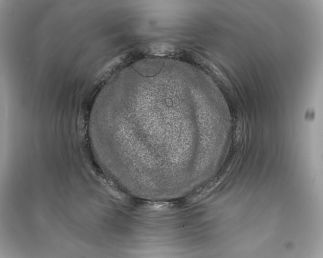 X0000090870569200708101336