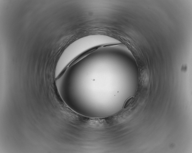 X0000090870571200708101336