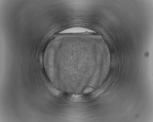 X0000090870573200708101336