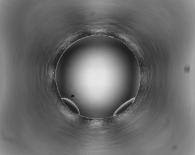 X0000090870574200708101336