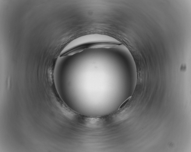 X0000090870575200708101336