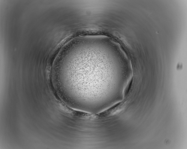 X0000090870576200708101336