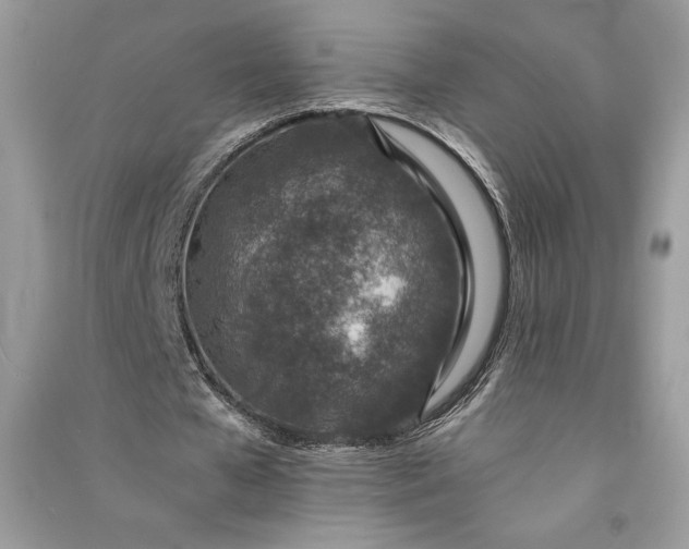 X0000090870577200708101336