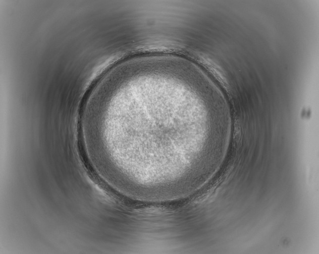 X0000090870578200708101336