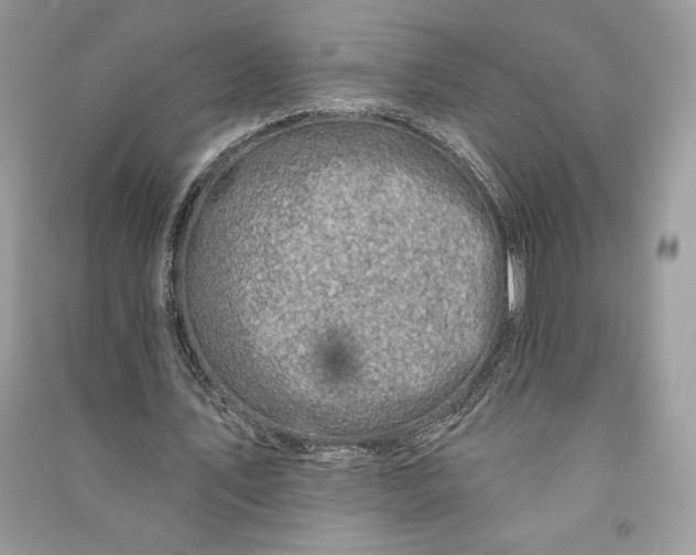 X0000090870579200708101336