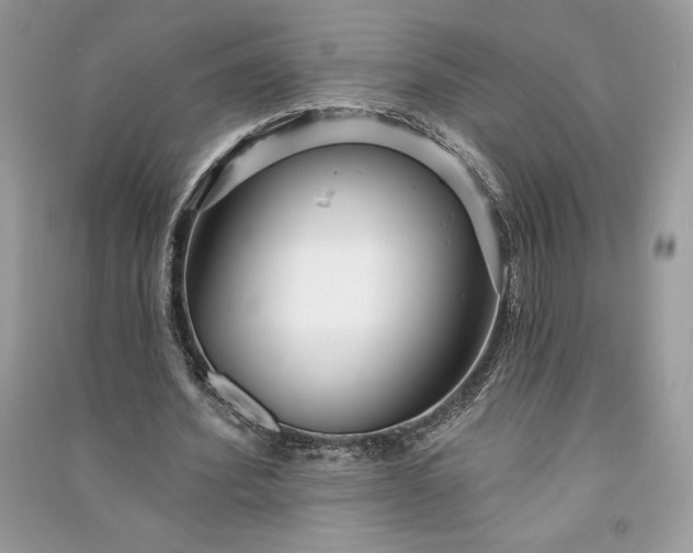 X0000090870580200708101336