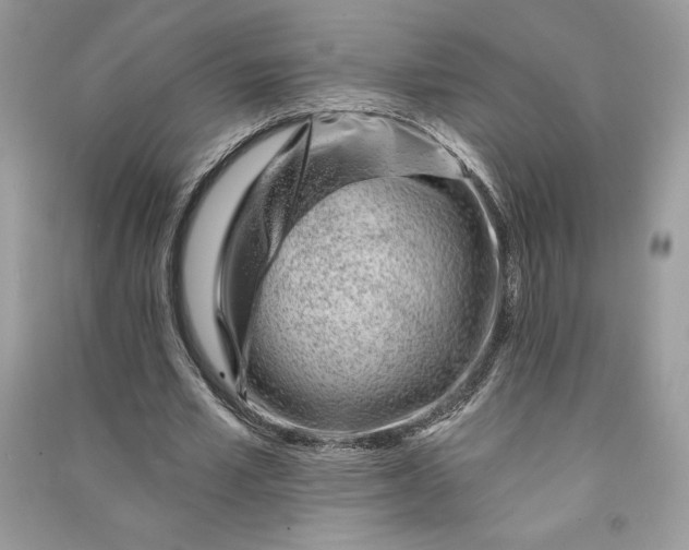 X0000090870581200708101336