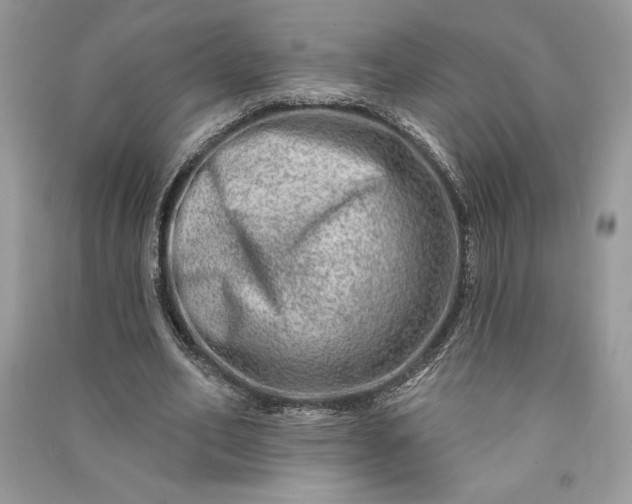 X0000090870582200708101335