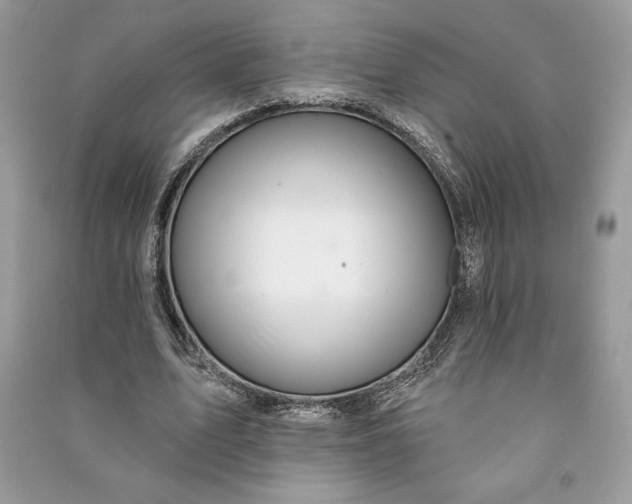 X0000090870583200708101335