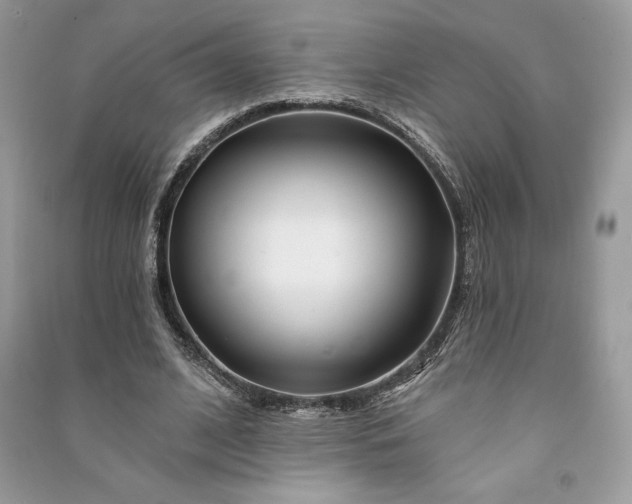 X0000090870584200708101335